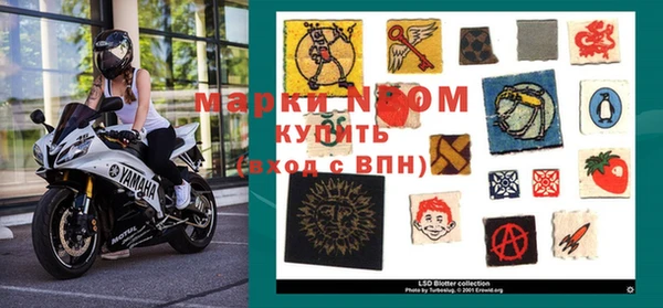 круглые Аркадак