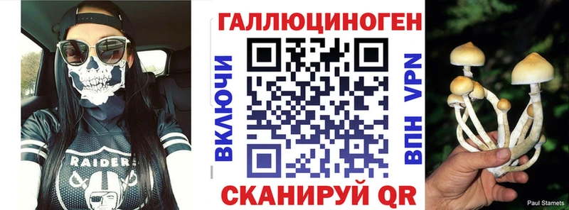наркотики  Углич  Псилоцибиновые грибы GOLDEN TEACHER 